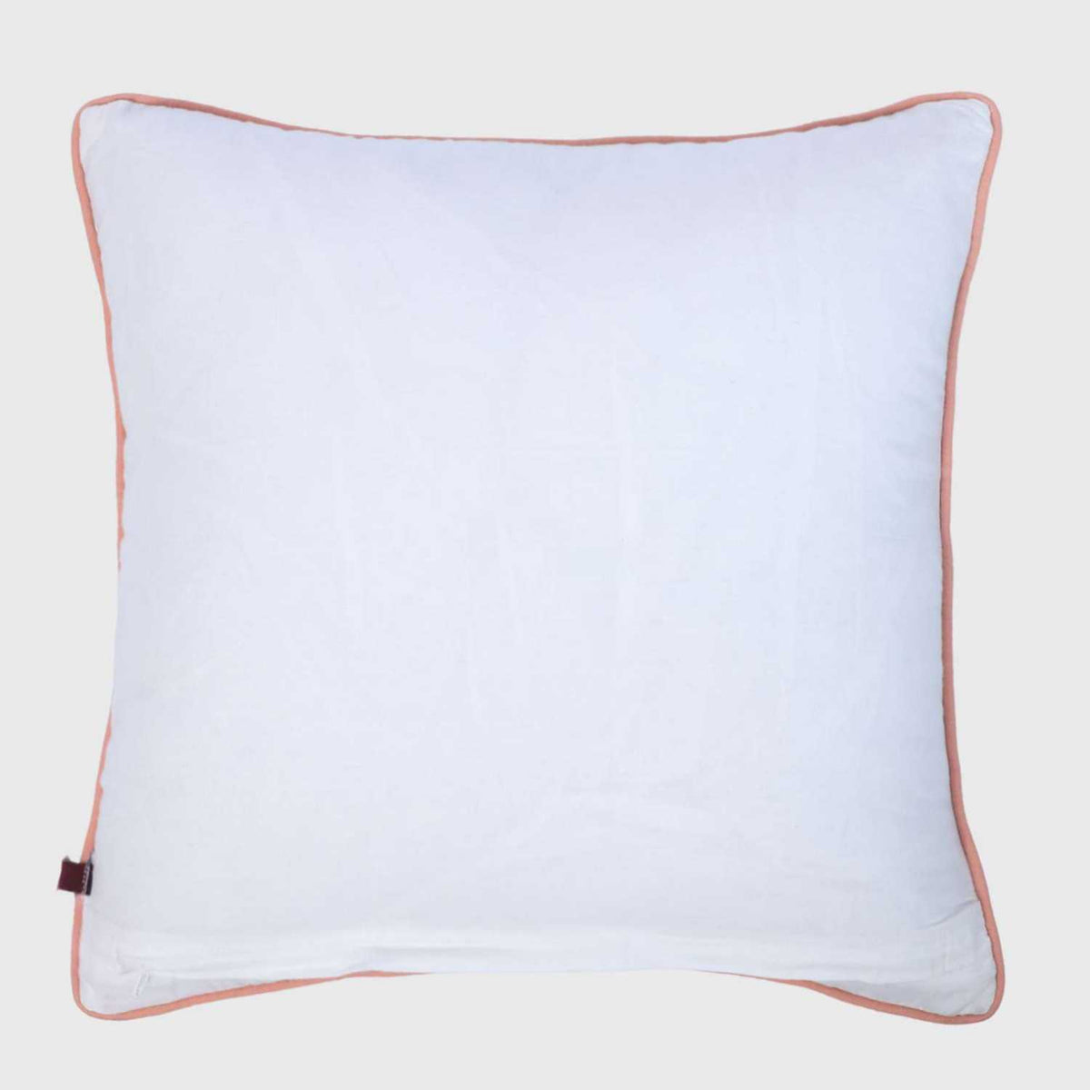 Dino Tales Embroidered with Piping Cushion Cover
